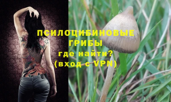 ешки Лабытнанги