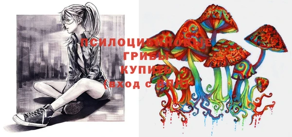 ешки Лабытнанги