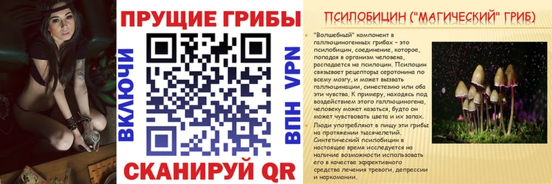 Галлюциногенные грибы ЛСД  Калининград 